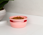 Whisker Wise Anti-ant Feeding Bowl - Peach