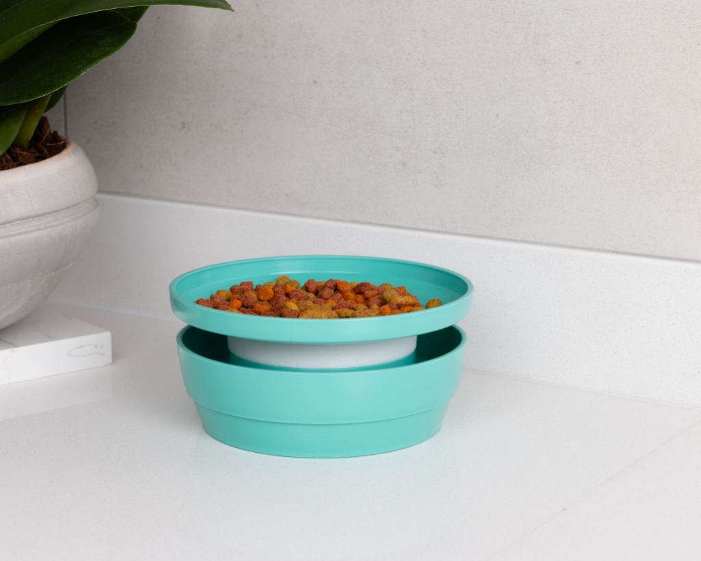 Whisker Wise Anti-ant Feeding Bowl - Turquoise