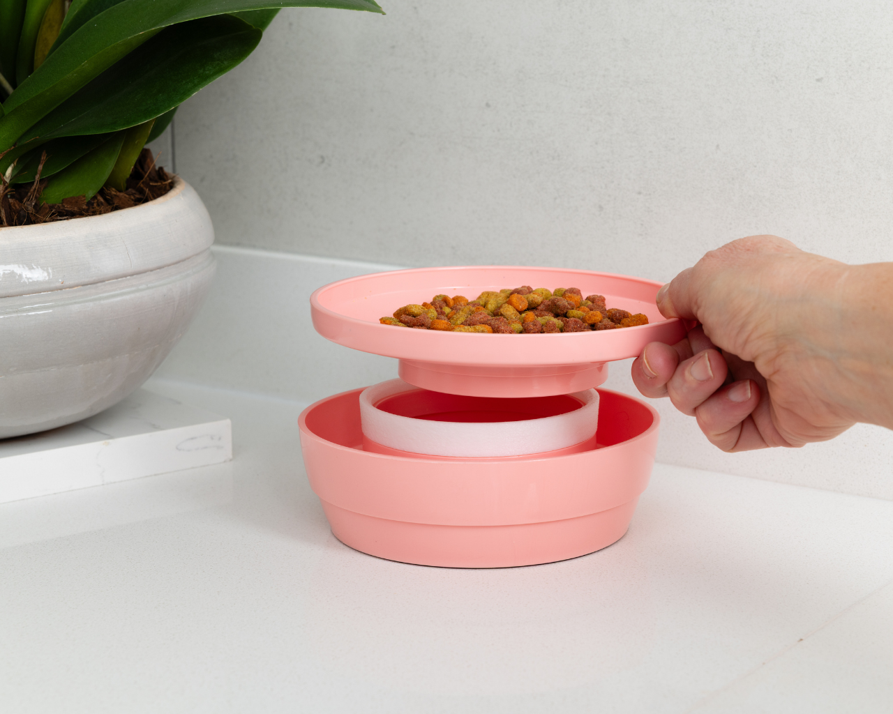 Whisker Wise Anti-ant Feeding Bowl - Peach